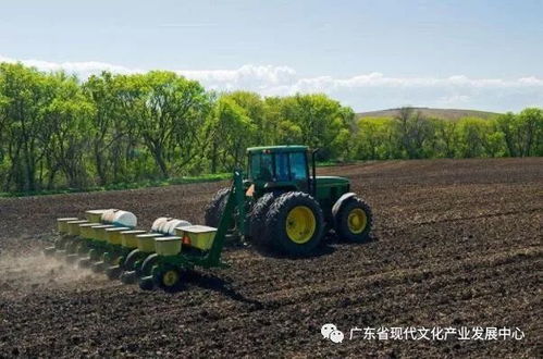 农业真的能赚钱吗？农村创业如何实现盈利？