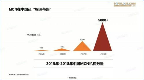 二姐Suman是如何实现高收入的？她有哪些独特的赚钱秘诀？