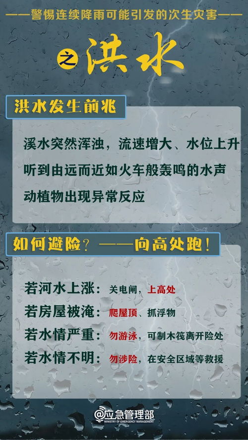 延安市有哪些自助经办平台可以使用？官方指南来了吗？