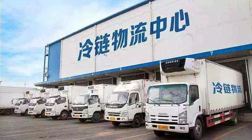 冷链物流行业真的能带来丰厚收益吗？