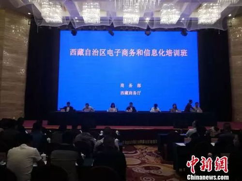 西藏农副业如何助力当地经济发展？