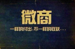 这里的微商活动图片藏着哪些精彩秘诀？