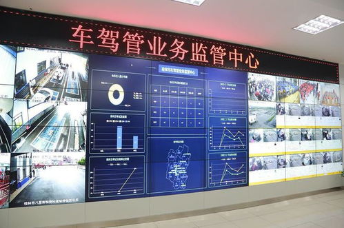 浙江省考试有哪些自助平台可用？探秘一站式考试服务体验！
