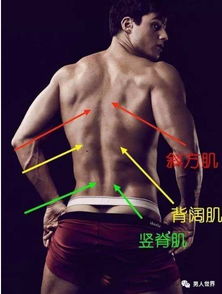 中山地区男士健身教练兼职机会哪里找？