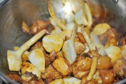 卖烧鸡20元一斤，真的能盈利吗？市场前景如何？