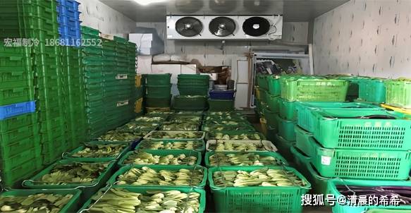 冷库储存水果蔬菜，真的能带来可观收益吗？