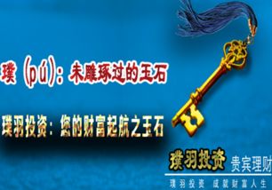 创业与投资，究竟哪条路更能助你财富增长？
