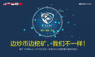 冬季在商城投资哪些商品最具盈利潜力？