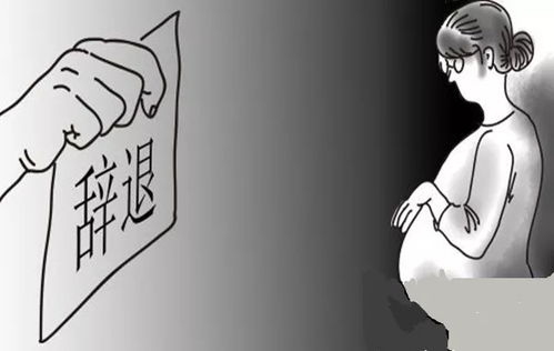 刚怀孕就被公婆催促上班赚钱，这是合理要求吗？