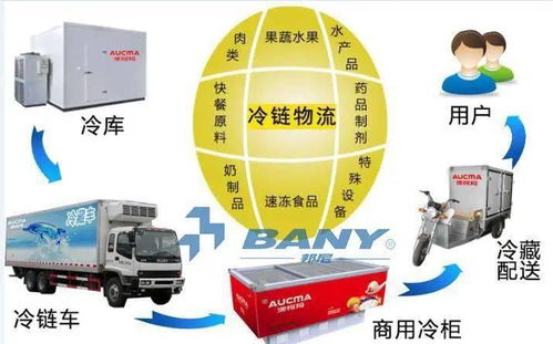 冷链物流企业为何陷入盈利困境？