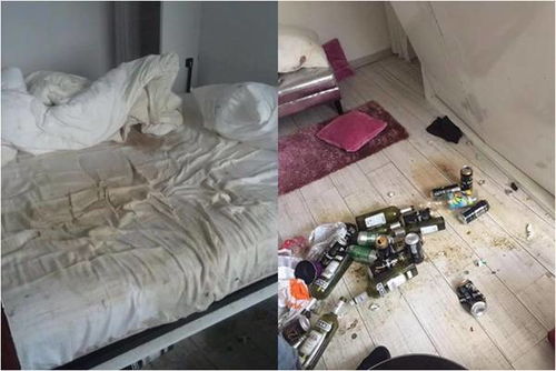 出租房屋时，女性房东卖什么能最赚钱？