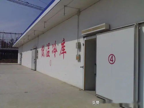冷库储存花生能否带来可观收益？