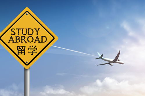 出国留学，学什么专业最有利可图？