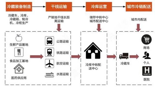 冷链车运输业务能否实现盈利？行业前景分析