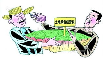 冬季农村有哪些赚钱途径？如何把握增收机会？