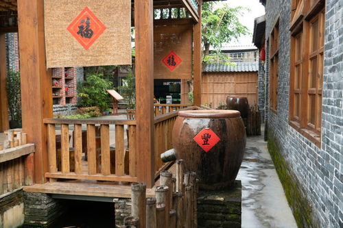 农家乐夜晚经营盈利如何？实景图片展示真相