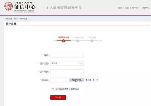 如何进行企业征信查询？详细步骤与方法解析