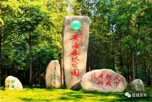 东台黄海森林公园兼职机会，你了解多少？