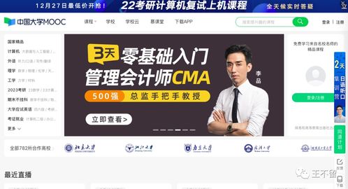 历史老师闲暇之余还能涉足哪些副业领域？