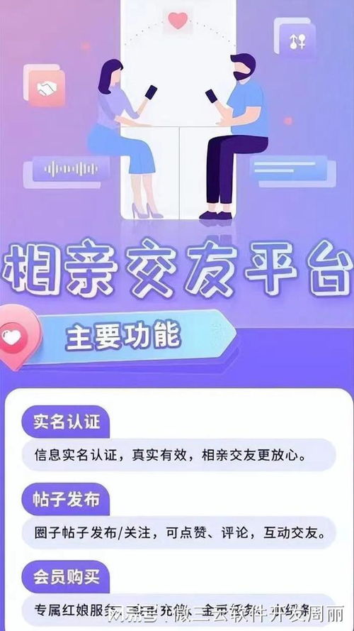 U盾如何助力轻松赚钱？揭秘其盈利模式与操作技巧