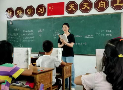 兼职辅导老师授课是否需要额外付费？收费标准如何？