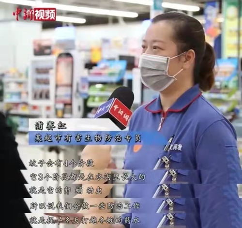 你家附近的卫生阿姨是否也在兼职其他工作？