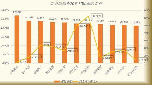 陈朝金资产几何？其资产与负债状况究竟如何？