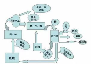 自助餐业务模式包括哪些独特策略，你知道几种？