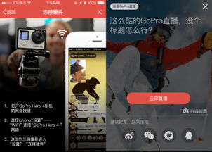 不进行直播，仅靠发布视频能否实现盈利？