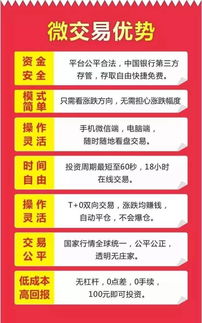 车贷真的能帮你赚钱吗？揭开隐藏的盈利真相