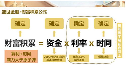 不寐青年真能实现财富增长？真相究竟如何？