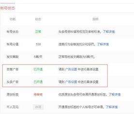 凌云记自媒体盈利状况如何？是否已实现财务回报？