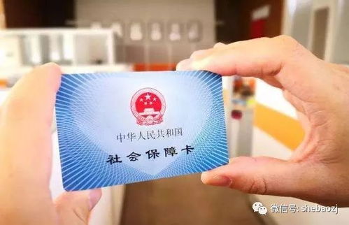 拥有社保的人适合开展哪些副业项目？