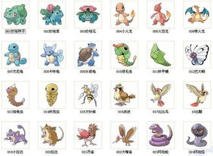 奇妙精灵代理费用具体是多少呢？每次代理的费用又有何不同？