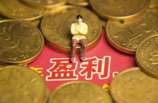 如何理解赚钱需长期耕耘？揭秘持久盈利之道