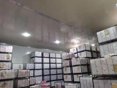 冷藏库创业，哪种生意最能盈利？