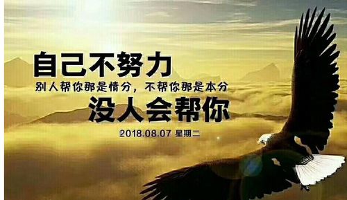 不劳而获真的存在吗？探索无需付出的赚钱之道
