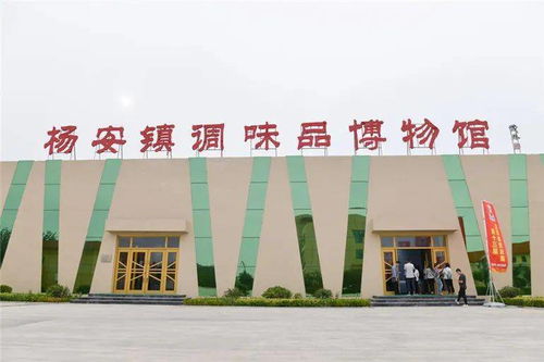乐陵杨安镇调料生意究竟有多赚钱？值得一试吗？