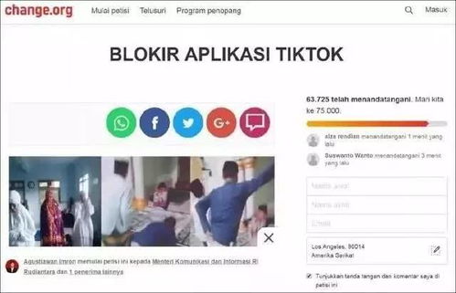 如何访问抖音海外版？自助开户网站的使用指南在这里？