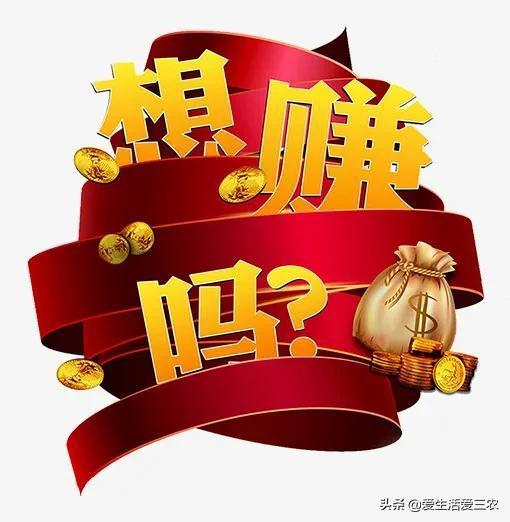 冬天农民如何选择高收益的赚钱项目？