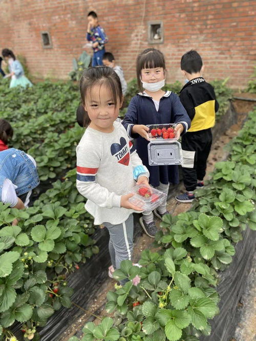 刚踏出家门，如何快速开启赚钱之旅？