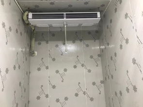 冻库经营真的能赚钱吗？揭秘冷库盈利背后的真相