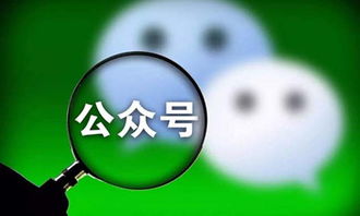 公众号文章写作如何实现盈利？新手必看的赚钱攻略