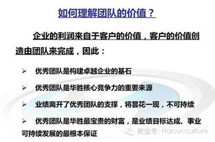 凡达梵项目究竟能否带来稳定收益？真相待揭晓