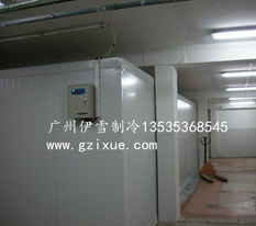 冷库经营中，哪些产品最具盈利潜力？