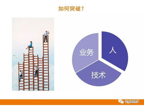 刚毕业的女生选择哪条职业路径最能快速积累财富？