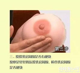 产后学习催乳技术，真的能带来经济收益吗？