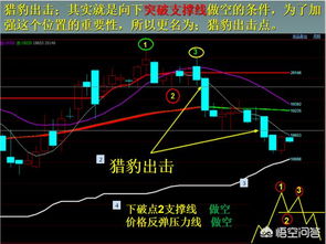 轻仓长线投资期货，真的能稳赚甚至大赚吗？