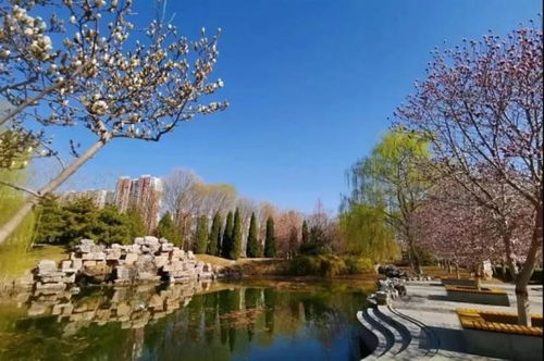 西农园林专业究竟如何？就业前景是否乐观？