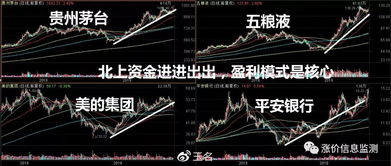 香蕉打卡真的能赚钱吗？揭秘其背后的盈利模式